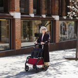 City Walker met opbergruimte & hondenmand